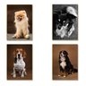 Kit 10 Placas Mdf Cachorros Parede Criativa e Divertida Dc16 - 6