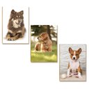 Ver imagem 5 de Kit 10 Placas Mdf Cachorros Parede Criativa e Divertida Dc16