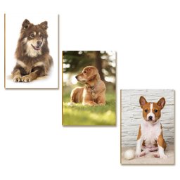 Kit 10 Placas Mdf Cachorros Parede Criativa e Divertida Dc16 - 5