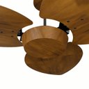 Ver imagem 2 de Ventilador de Teto Com Controle Remoto Natuvent Dahlia No Light 3 Pás Madeira Imbuia 127v