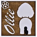 Ver imagem 1 de Porta Coleira Personalizada Grave a raça e o nome do seu cãozinho Make Laser PColeira