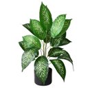 Ver imagem 4 de 6 Plantas Artificiais Luxo Decoração Suíte Restaurante Clínica Comércio Beleza Duradoura Permanente