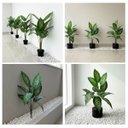 Ver imagem 1 de 6 Plantas Artificiais Luxo Decoração Suíte Restaurante Clínica Comércio Beleza Duradoura Permanente