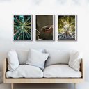 Ver imagem 2 de Kit 3 Quadros Decorativos Mãe Natureza 24x18cm:madeira Preta