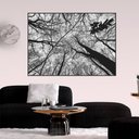 Ver imagem 1 de Quadro Canvas Galhos Secos 1,00x1,30