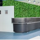 Ver imagem 5 de 11 Paineis Trevo Artificial Planta Quadro Verde Decorativo para Jardim Vertical Interno no Ambiente