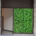 Ver imagem 1 de 11 Paineis Trevo Artificial Planta Quadro Verde Decorativo para Jardim Vertical Interno no Ambiente