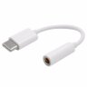 Adaptador Type C para Fone de Ouvido P2 - 1