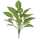 Ver imagem 1 de Planta Artificial Arvore Calathea Real Toque X18 Verde Creme 64cm
