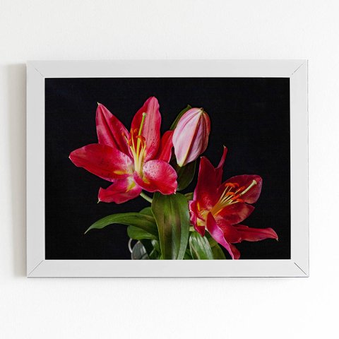 Quadro Lírio Tarrango Flores Foto Moldura Branca 60x40cm