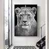 Quadro Leoa Coroa Rainha Vertical - Tela Única - 120 x 90 cm - Branca - 1
