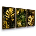 Ver imagem 1 de Quadros Decorativos Folha Costela Adão Moldura Sala Quarto