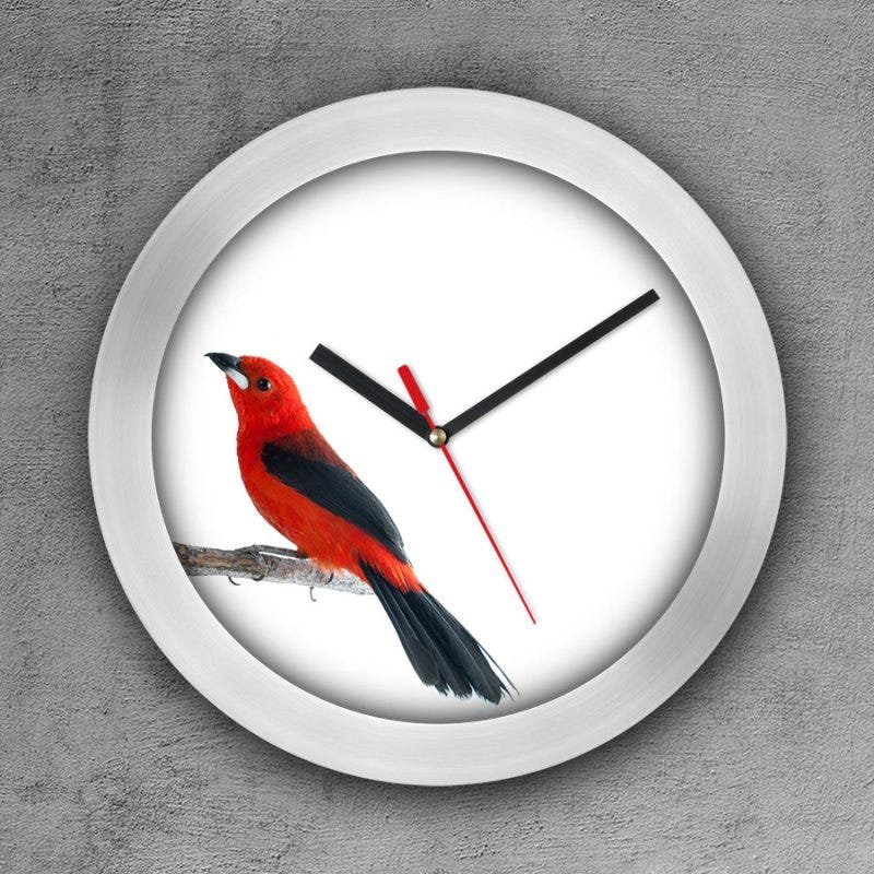 Relógio de parede decorativo, criativo e descolado | Passarinho vermelho - 1