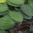 Ver imagem 3 de 84 Galhos Decoração Arranjo Fícus Artificial Planta Decorativa 42cm