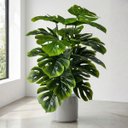 Ver imagem 6 de 5 Costelas de Adão Artificial Grande Toque Realista Planta Decorativa para Sala e Jardim Interno