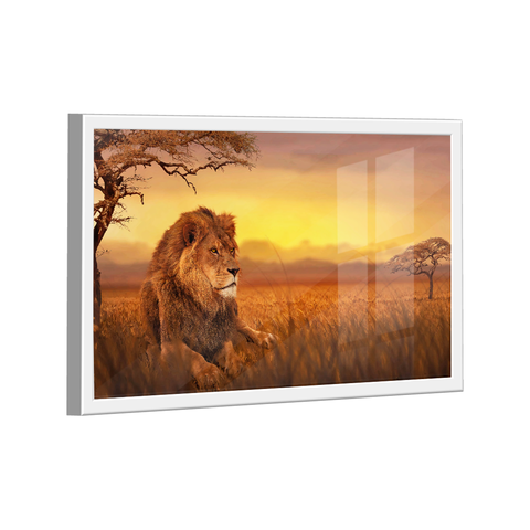 Quadro Leão Savana -- Br Artes