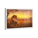 Ver imagem 1 de Quadro Leão Savana -- Br Artes