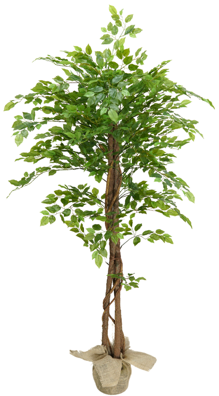 Arvore Planta Permanente Verde Fícus 185cm Premium - 1