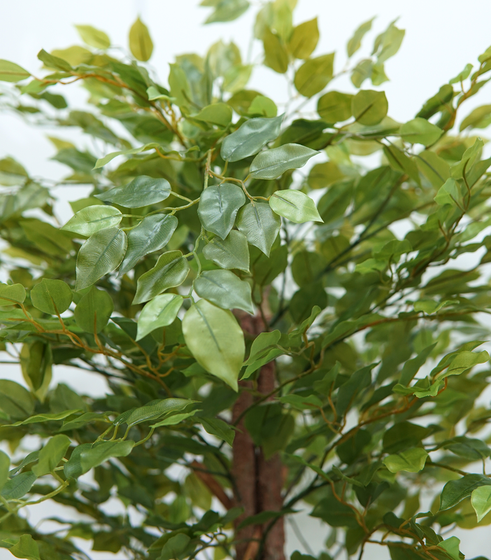 Arvore Planta Permanente Verde Fícus 185cm Premium - 5