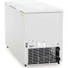 Freezer Horizontal Ghbs-410 Dupla Ação 2 Portas Gelopar 220V - 2