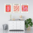 Ver imagem 2 de Kit 3 Quadros Matisse Coral Floral 45x34cm - com Vidro:moldura Branca
