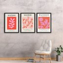 Ver imagem 1 de Kit 3 Quadros Matisse Coral Floral 45x34cm - com Vidro:moldura Branca