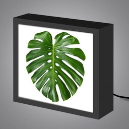 Luminária Lightbox caixa de luz moderna, diferente, criativa e colorida | FOLHA COSTELA DE ADÃ - 4 Luminária Lightbox caixa de luz moderna, diferente, criativa e colorida | FOLHA COSTELA DE ADÃ - 4