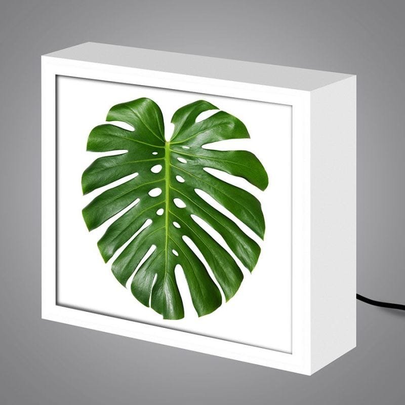 Luminária Lightbox caixa de luz moderna, diferente, criativa e colorida | FOLHA COSTELA DE ADÃ Menor preço em Luminária Lightbox caixa de luz moderna, diferente, criativa e colorida | FOLHA COSTELA DE ADÃ