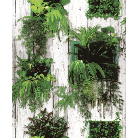 Papel de Parede Seven Folhagem na Parede