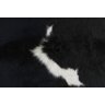 Tapete de Couro de Boi. Pele Bovina Natural. 1,90 x 2,20 M. Preto e Branco. P608B - 4