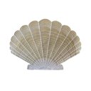 Ver imagem 1 de Jogo Americano Auguri Casa Concha Natural com Bordado Branco 35cm X 50cm