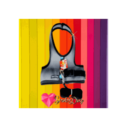 Peitoral Arreio Pet +Guia SnobDog Roupinhas - GG - Cinza - 3