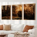 Ver imagem 1 de Kit Quadro Decorativo 3 Telas As Arvores sobre a Luz do Sol Tacolado Moldura Caixa 3cm Madeira sem V