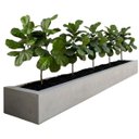 Ver imagem 6 de Kit 6 Mini Árvores Ficus Lyrata 85cm Artificial Silicone Premium Paisagismo Interno Decoração Luxuos