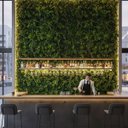 Ver imagem 7 de 5 Painéis Jardim Vertical Artificial Samambaia e Eucalipto Revestimento para Parede Verde Premium