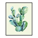 Ver imagem 1 de Quadro Decorativo Barcelona Cacto Pereskia 20x25 cm