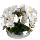 Ver imagem 1 de Arranjo Grande 6 Flores Orquídeas Real Branca Vaso Prata