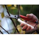 Ver imagem 6 de Tesoura de Poda Okatsune 103/200mm C/2 Molas Ref 103c G