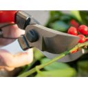 Ver imagem 5 de Tesoura de Poda Okatsune 103/200mm C/2 Molas Ref 103c G