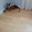 Ver imagem 3 de Piso Vinílico em Manta Scandian Home 0,7mmx2,00m (m²)