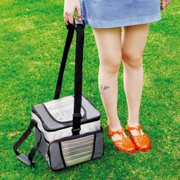 Bolsa Termica Ice Cooler 24 Lt - 1 Divisoria - Cinza - Mor - 13