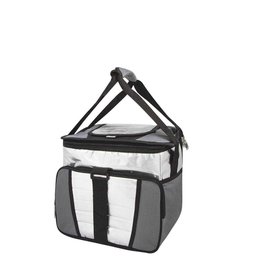 Bolsa Termica Ice Cooler 24 Lt - 1 Divisoria - Cinza - Mor - 1
