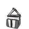 Bolsa Termica Ice Cooler 24 Lt - 1 Divisoria - Cinza - Mor - 1