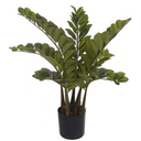 Ver imagem 1 de Planta Árvore Artificial Zamioculca Real Toque C/Pote X148 Verde 97cm