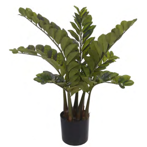 Planta Árvore Artificial Zamioculca Real Toque C/Pote X148 Verde 97cm