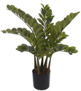 Ver imagem 1 de Planta Árvore Artificial Zamioculca Real Toque C/Pote X148 Verde 97cm