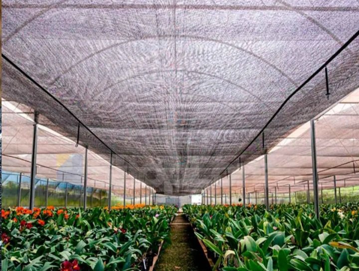 Tela Lona Toldo Shade 80% Preto 4m X 6m Bainha e Ilhós