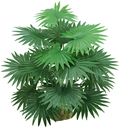 Ver imagem 1 de Planta Artificial Folhagem Palmeira Leque 65cm Decorativa Verde