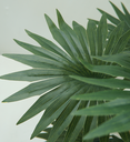 Ver imagem 2 de Planta Artificial Folhagem Palmeira Leque 65cm Decorativa Verde