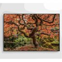 Ver imagem 3 de Quadro Sakura Rosa Outono 90x60 Cm Vidro Impresso